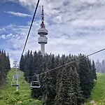 Stream شقة بامبوروفو