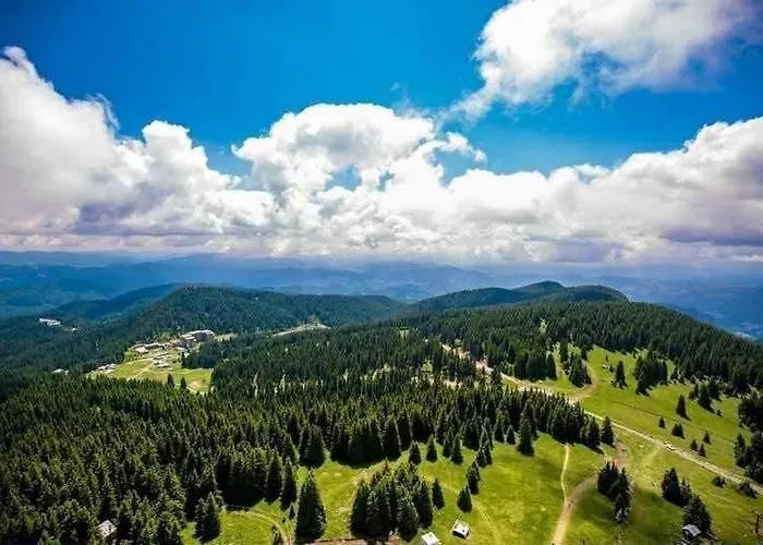 Stream Spa Suite Apartment *